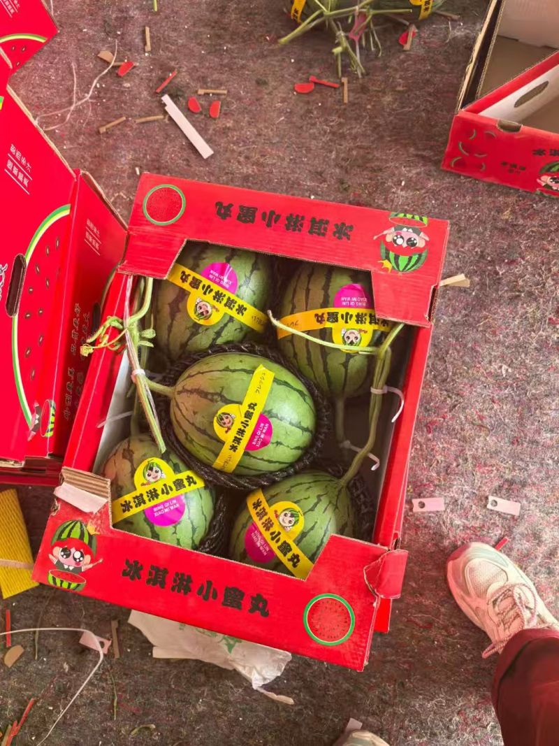 2k小西瓜，小糖丸，支持视频看货，可发往全国市场！