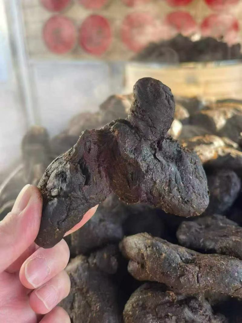 九蒸九晒黄精古法工艺个大饱满肉多品质保证