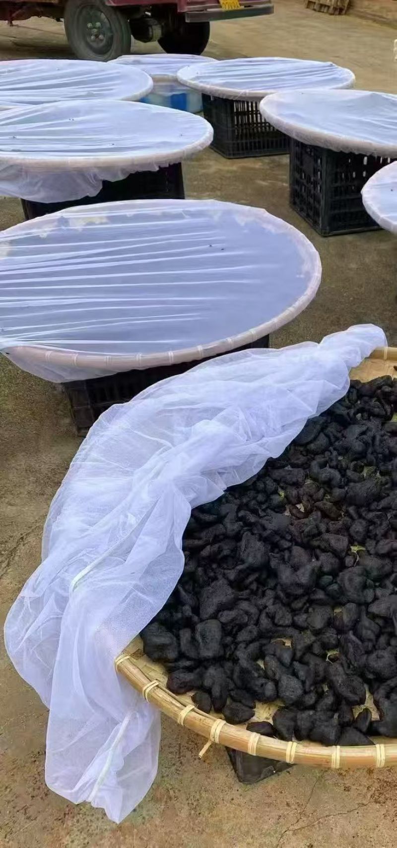 九蒸九晒黄精古法工艺个大饱满肉多品质保证