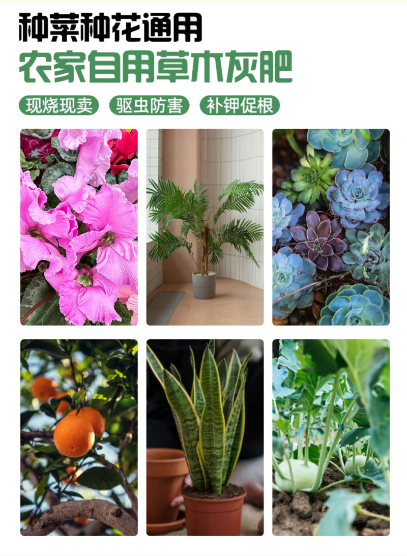 复配草木灰农家有机肥料养花种菜用的草木灰天然钾肥土壤改良