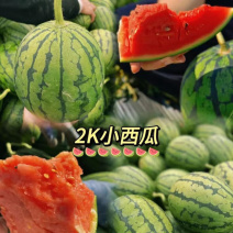 河南精品小糖丸2k西瓜大量上市皮薄含糖量高