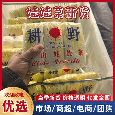 小娃娃菜，真空打氮，能提供商检，出口，韩国，俄罗斯，