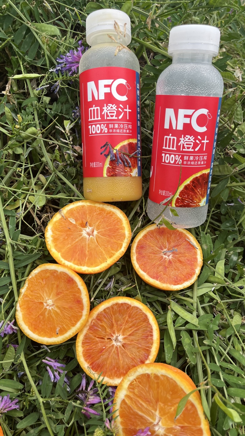 晚熟血橙8号精品血橙橙子产地直发量大从优可视频看货对接