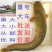 大口鲶鱼苗南方大口鲶苗渔场直供免费养殖技术指导