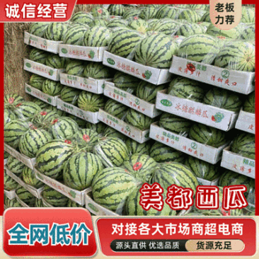 【美都西瓜】商丘夏邑西瓜/大棚无籽西瓜/5斤打底八成熟