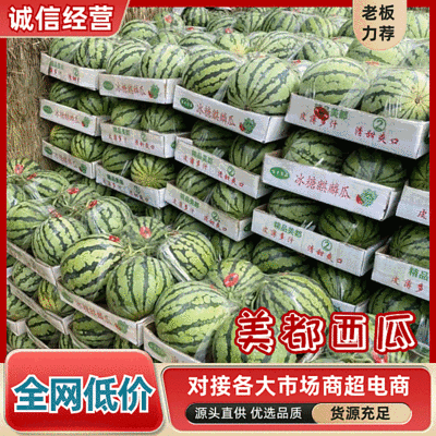 【美都西瓜】商丘夏邑西瓜/大棚无籽西瓜/5斤打底八成熟