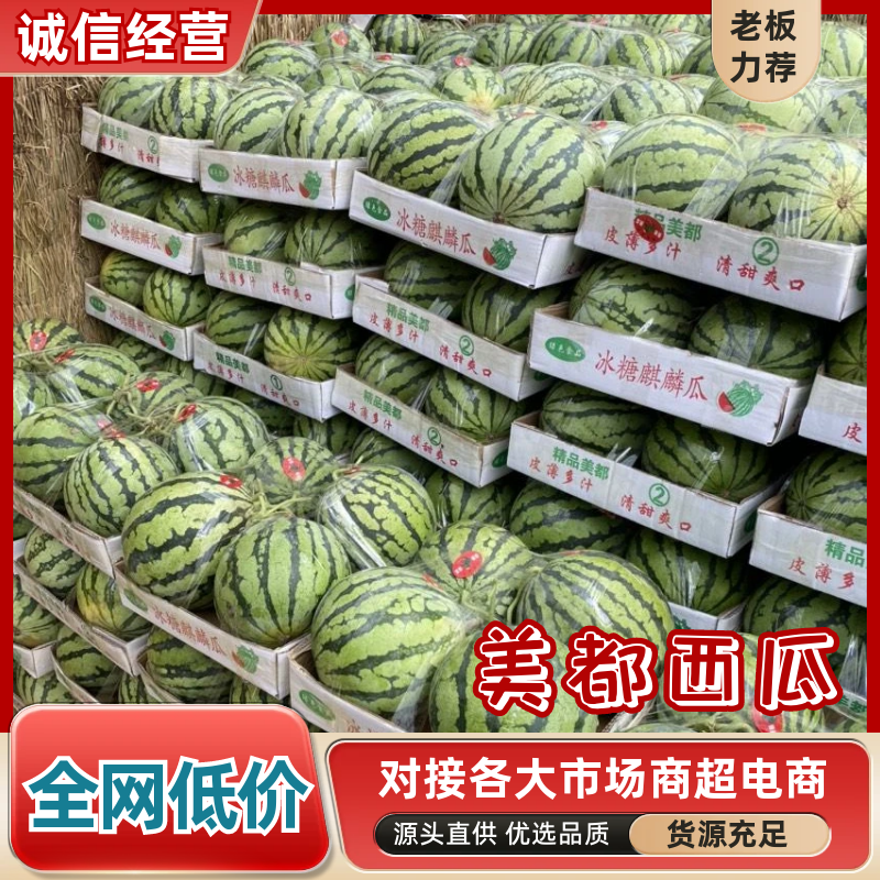 【美都西瓜】商丘夏邑西瓜/大棚无籽西瓜/5斤打底八成熟