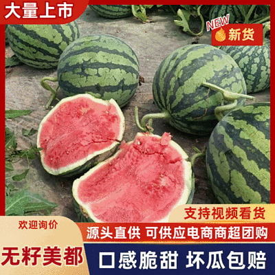 『精选』美都西瓜/基地现货/大棚瓜包熟包甜/全国代发