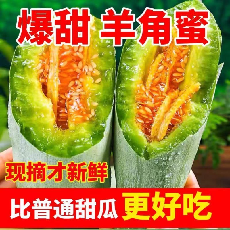 山东羊角蜜，蜜源18甜瓜一件代发多多美团团购商超精品货