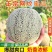 网纹瓜,玫珑瓜嘉华美华牛三101大量上市市场团购一件代发