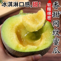 网纹瓜，玫珑瓜嘉华美华牛三101大量上市市场团购一件代发