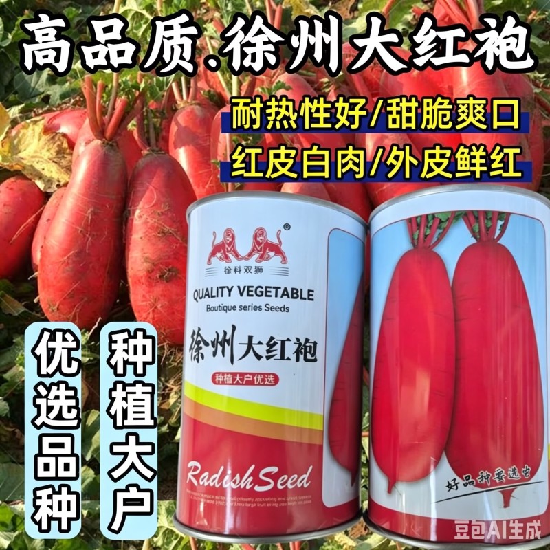 徐州大红袍萝卜种子耐热红皮白肉水萝卜满身红夏秋水果萝卜种