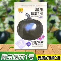 黑宝圆茄种子春夏早熟紫黑圆茄种籽果脐小黑亮光泽度好蔬菜种
