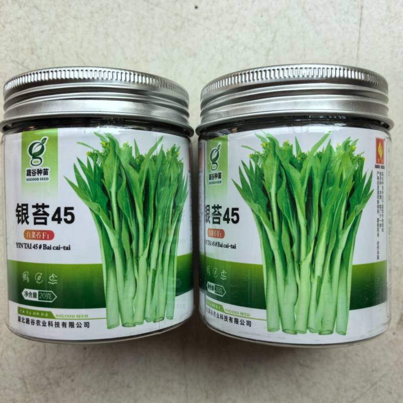 银苔45白菜苔种子杂交早熟白菜薹秋播耐寒耐热菜苔菜心蔬菜