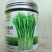 银苔45白菜苔种子杂交早熟白菜薹秋播耐寒耐热菜苔菜心蔬菜