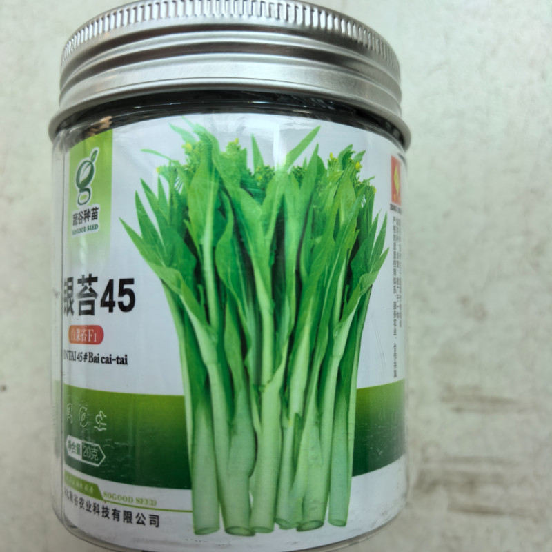银苔45白菜苔种子杂交早熟白菜薹秋播耐寒耐热菜苔菜心蔬菜
