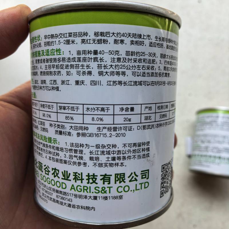 胭脂红1号红菜薹种子亮红无腊粉红菜苔菜心耐寒秋播紫菜薹种