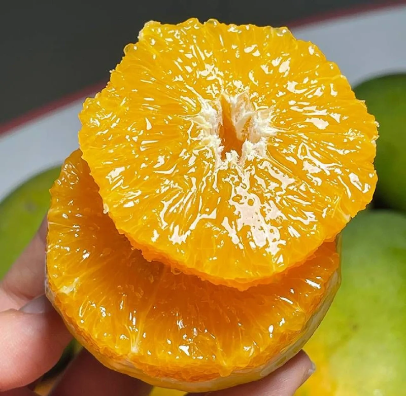湖南精品橙子/夏橙/量大价优/产地直发/欢迎订购诚信经营