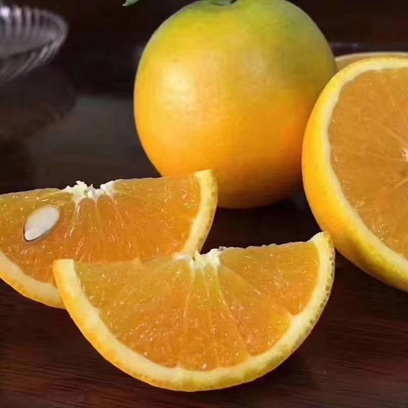 湖南精品橙子/夏橙/量大价优/产地直发/欢迎订购诚信经营