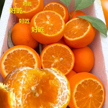 湖南精品柑桔/沃柑/量大价优/可视频看货/欢迎下单