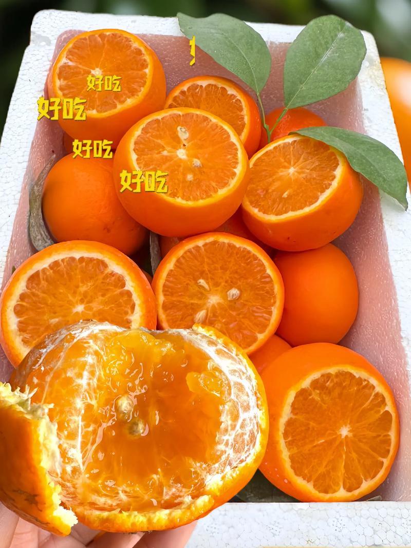 湖南精品柑桔/沃柑/量大价优/可视频看货/欢迎下单