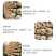 鹿角灵芝菌包活体菌种特色观赏食用庭院阳台种植
