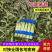 精品莴苣条形好长直货量大按需分拣打捆现场看货满意了再装