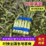 尖叶莴笋三青圆叶莴笋质量好产地直销一条龙服务