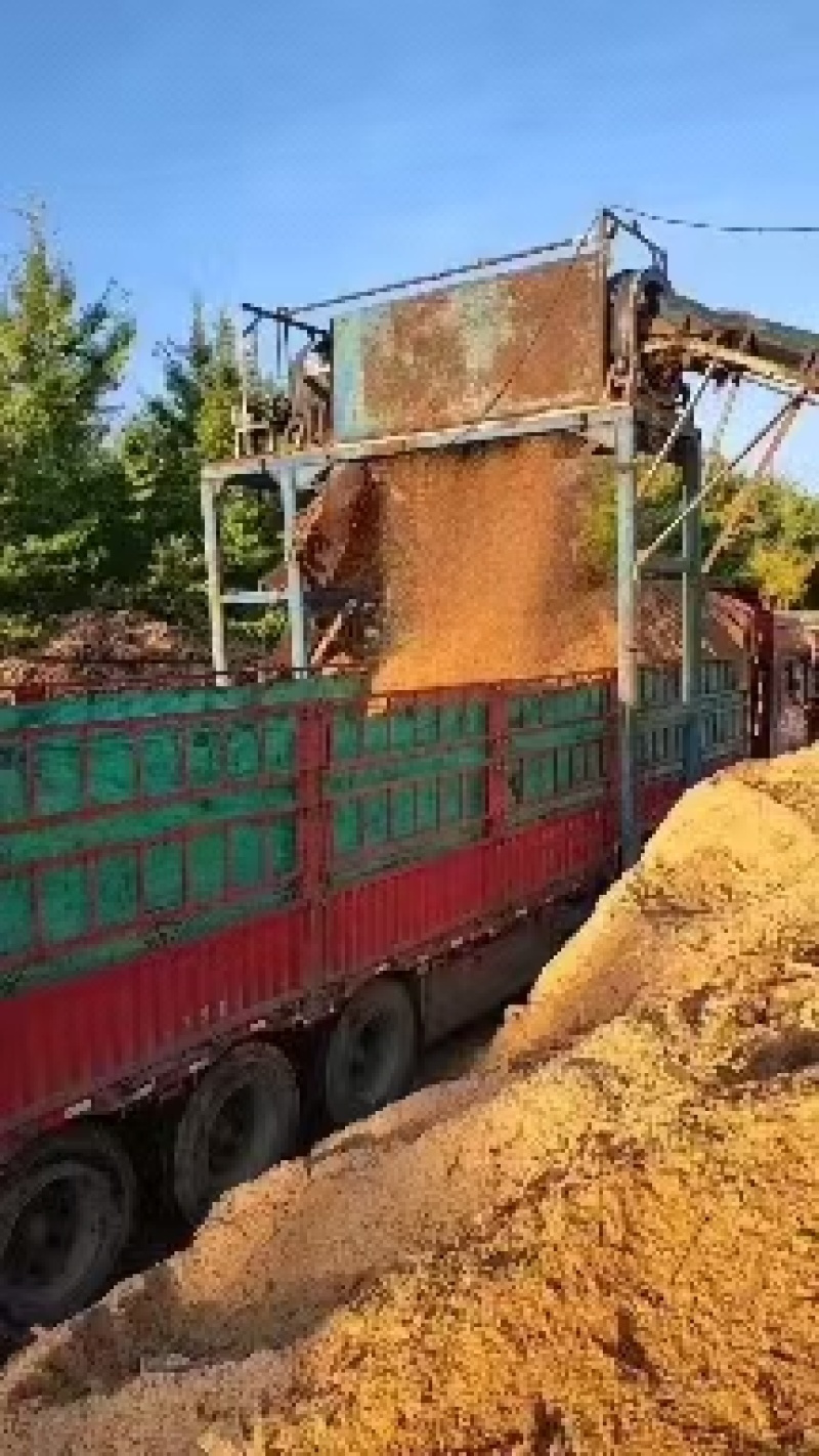 全杉木锯末，筛选无杂质。可用于有机肥原料，污水处理厂