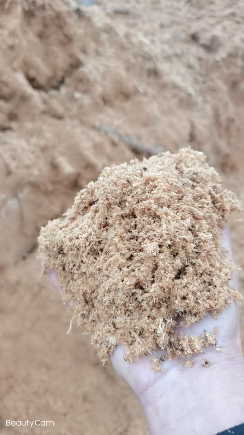 云南大量锯末出售筛选无杂质。可用于有机肥原料