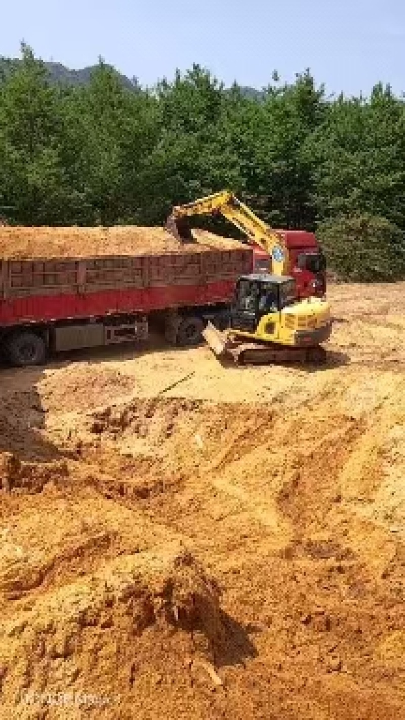 云南大量锯末出售筛选无杂质。可用于有机肥原料