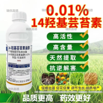 14羟基芸苔素甾醇天然植物生长调节剂解药害抗病抗逆促生根