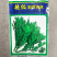 割茬茼蒿种子中叶皇帝菜茼蒿菜耐热春秋季蔬菜种子四季播种