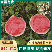 8424西瓜基地直供现摘现发可实地、视频看货欢迎采购