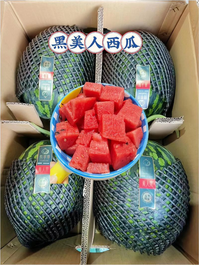 广西精品黑美人西瓜货源充足糖度高基地视频看货都可以