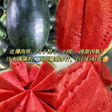 广西精品黑美人西瓜货源充足糖度高基地视频看货都可以