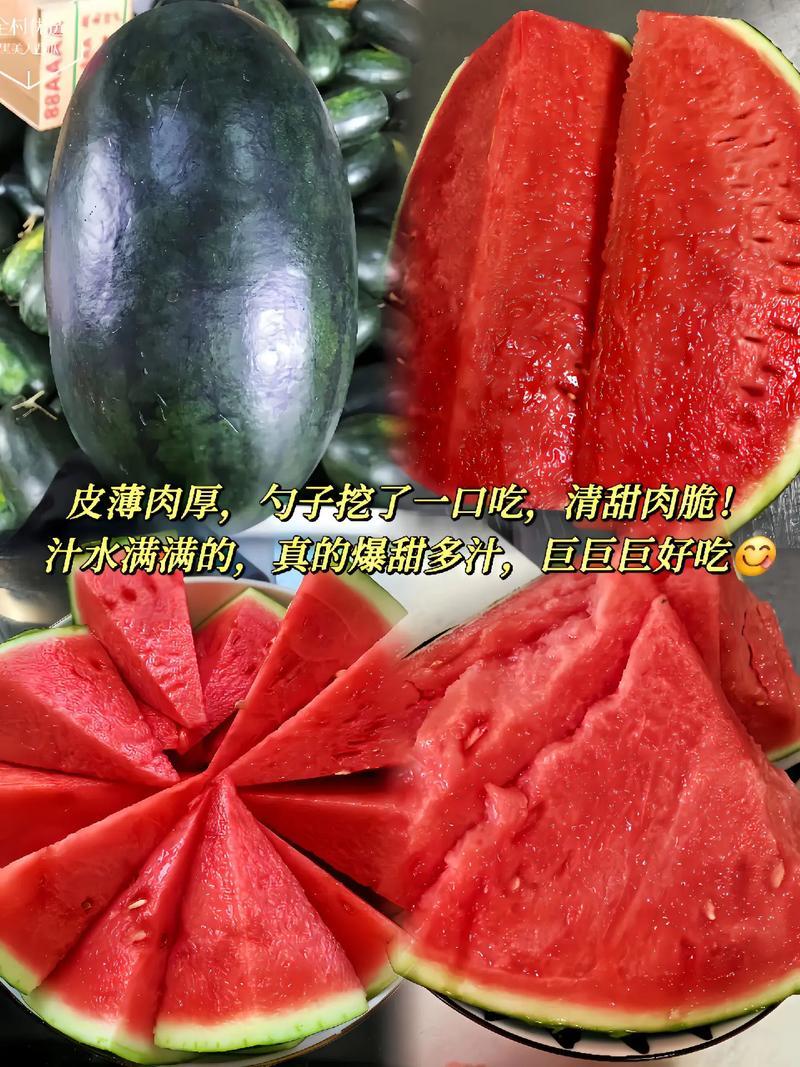 广西精品黑美人西瓜货源充足糖度高基地视频看货都可以