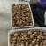恩施马尔科小土豆，精品现货速发，保质保量欢迎选购