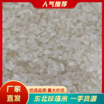 东北珍珠米2026年新米批发餐饮食堂**，不含运费