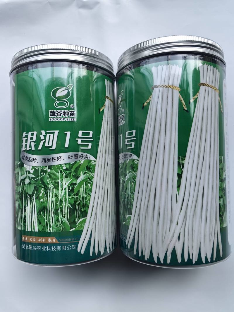 早熟白豇豆种子蔬谷银河一号白皮长豆角白玉豆角春秋白豇豆种
