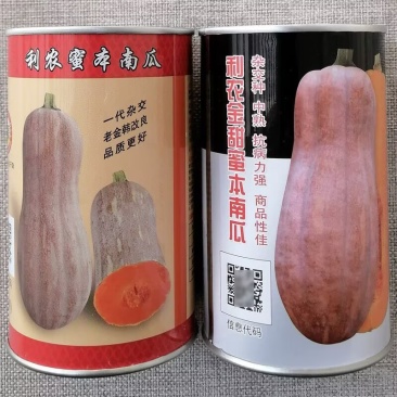 利农蜜本南瓜种子杂交大果优质高产中熟南瓜种籽瓜肉粉甜橙红