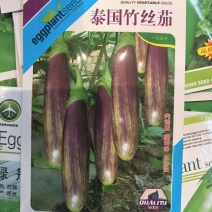 泰国竹丝茄种子高产红绿黄相间花茄种子长茄种子