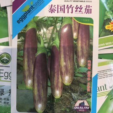 泰国竹丝茄种子高产红绿黄相间花茄种子长茄种子