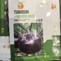 红福菜圆茄种子大果早熟基地圆茄子种子10克