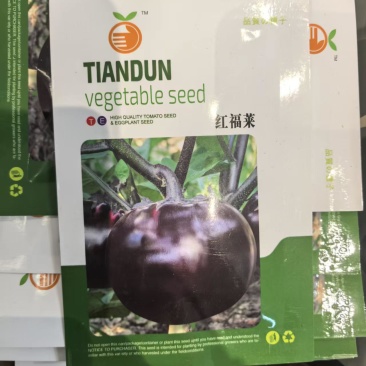 红福菜圆茄种子大果早熟基地圆茄子种子10克