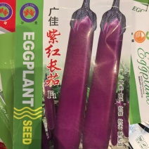 广佳紫红长茄种子早熟紫红茄子种子基地10克
