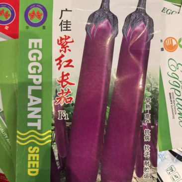 广佳紫红长茄种子早熟紫红茄子种子基地10克