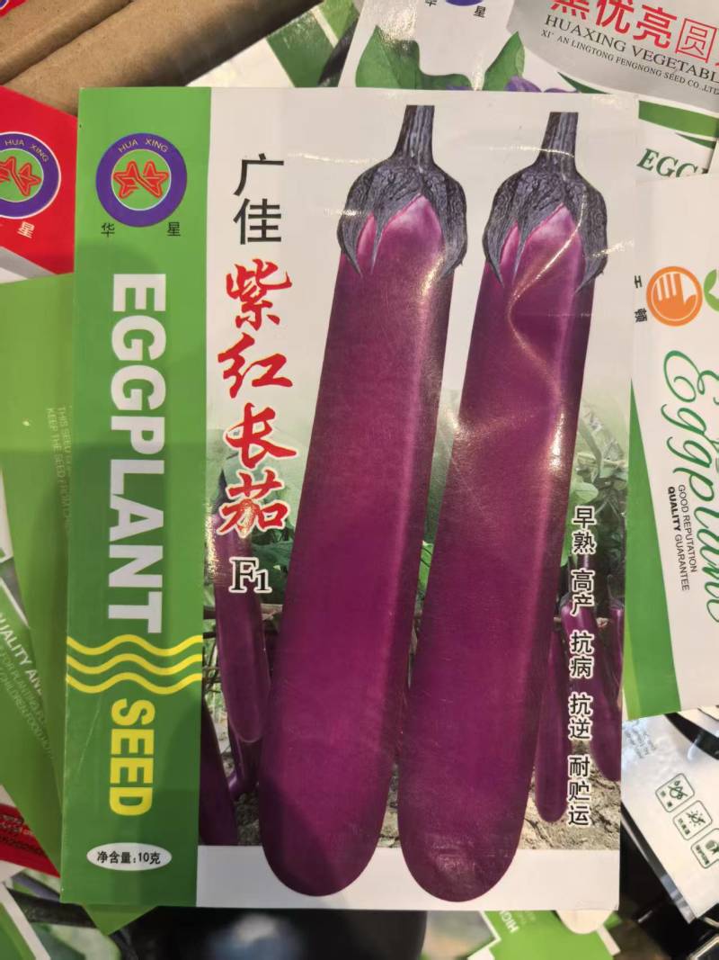 广佳紫红长茄种子早熟紫红茄子种子基地10克