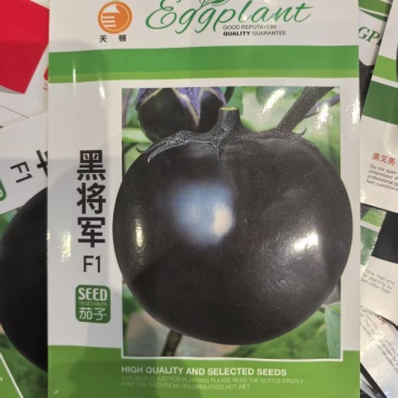 黑将军圆茄种子圆茄种子黑又亮茄子种子黑紫圆茄种子