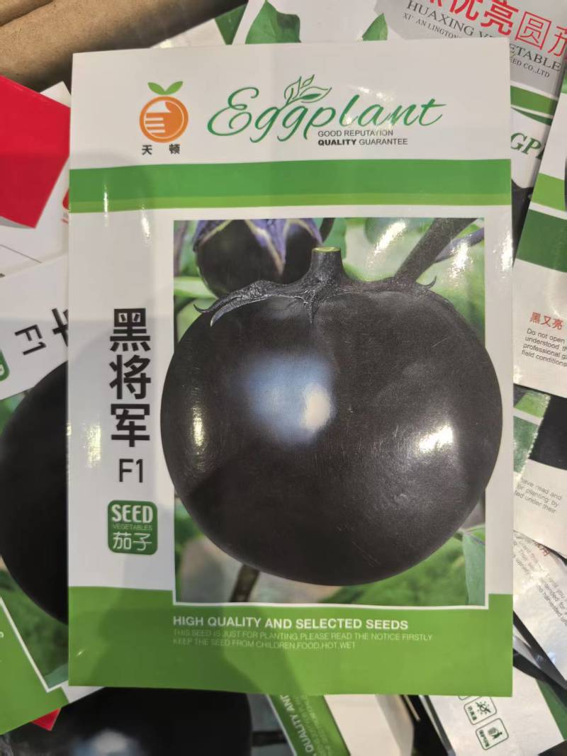 黑将军圆茄种子圆茄种子黑又亮茄子种子黑紫圆茄种子